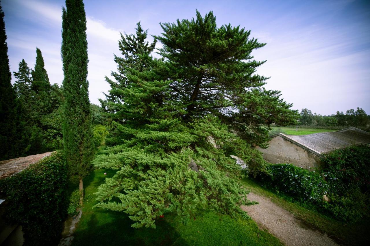 Masseria Perronello Country House 卡斯特拉巴特滨海 外观 照片