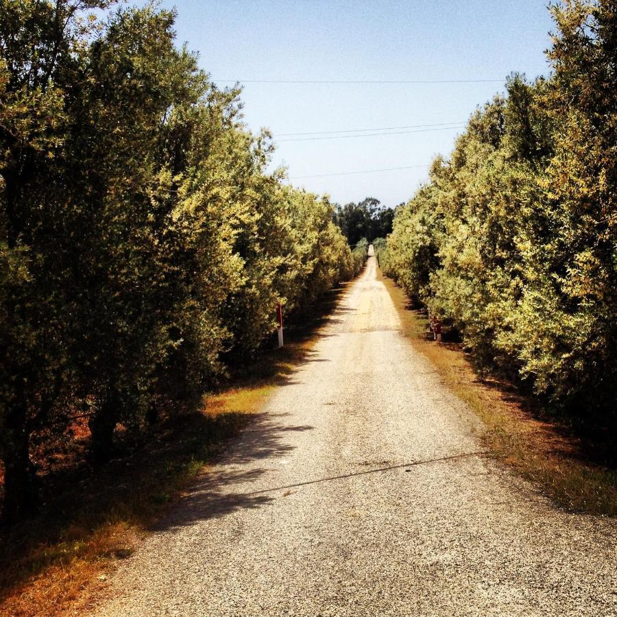 Masseria Perronello Country House 卡斯特拉巴特滨海 外观 照片